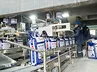 Автоматическая линия фасовки сыпучих продуктов в мешки