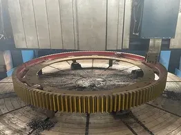 Опорная шестерня